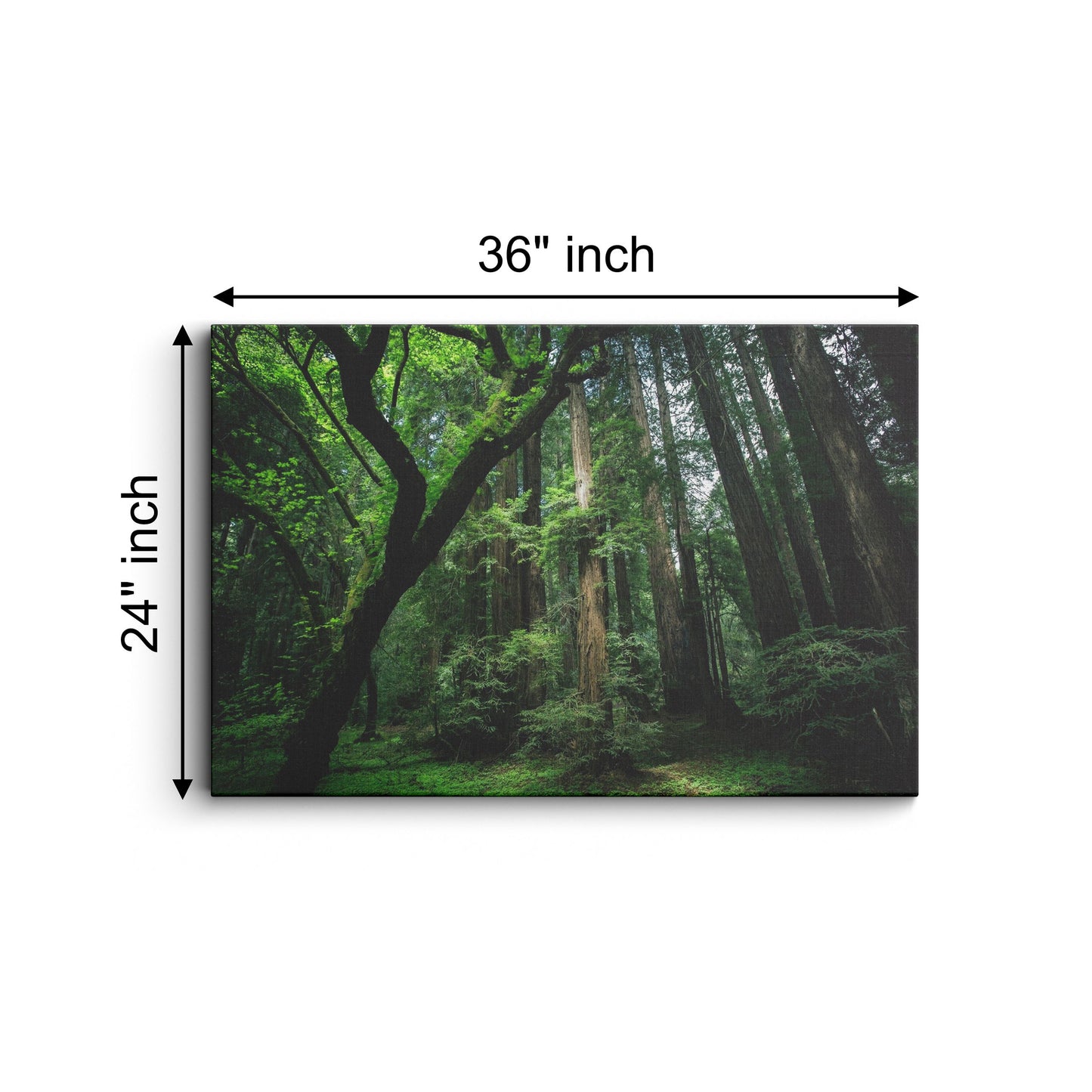 Nature Forest canvas wall painting
