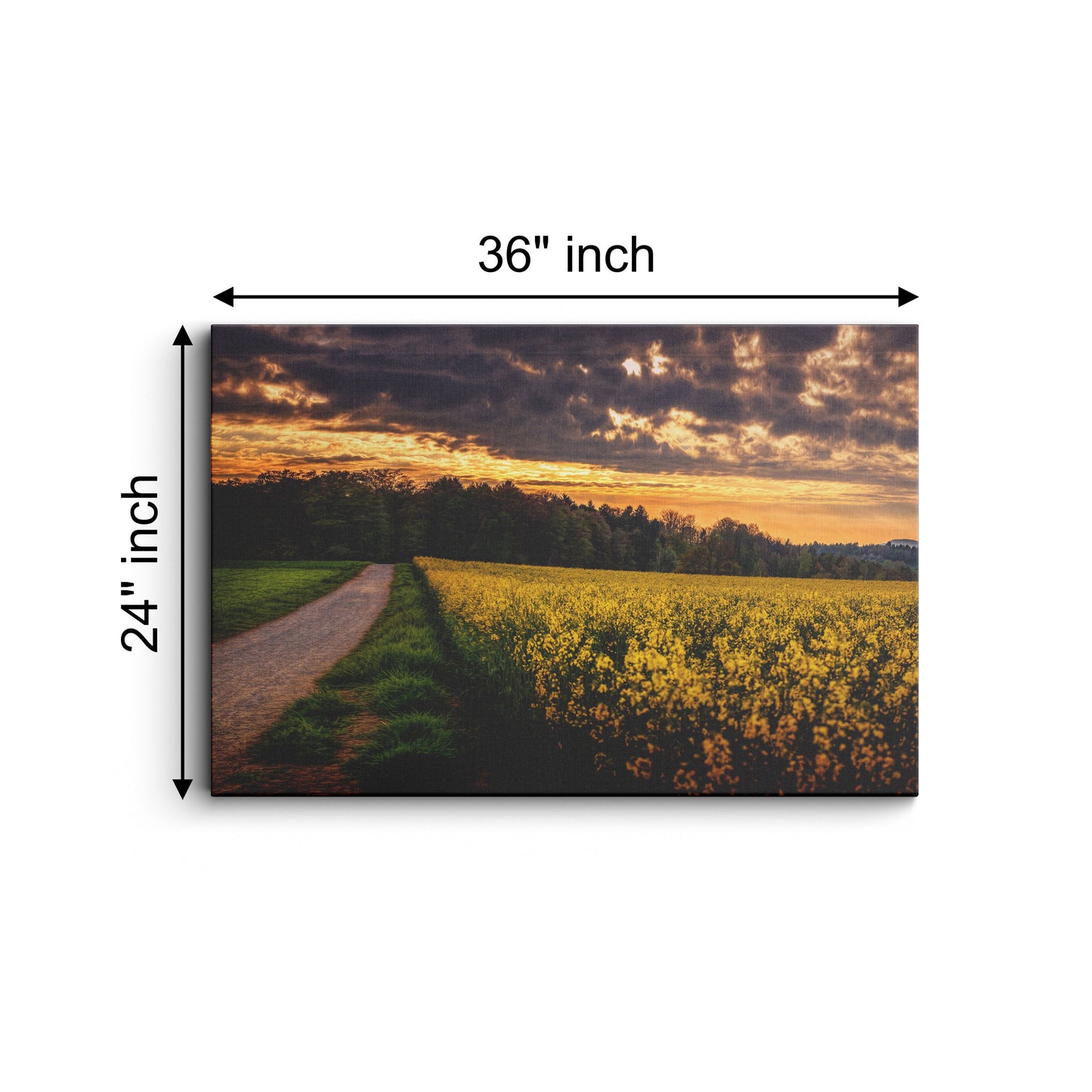 Natural Sunrise Landscape scenery canvas wall painting