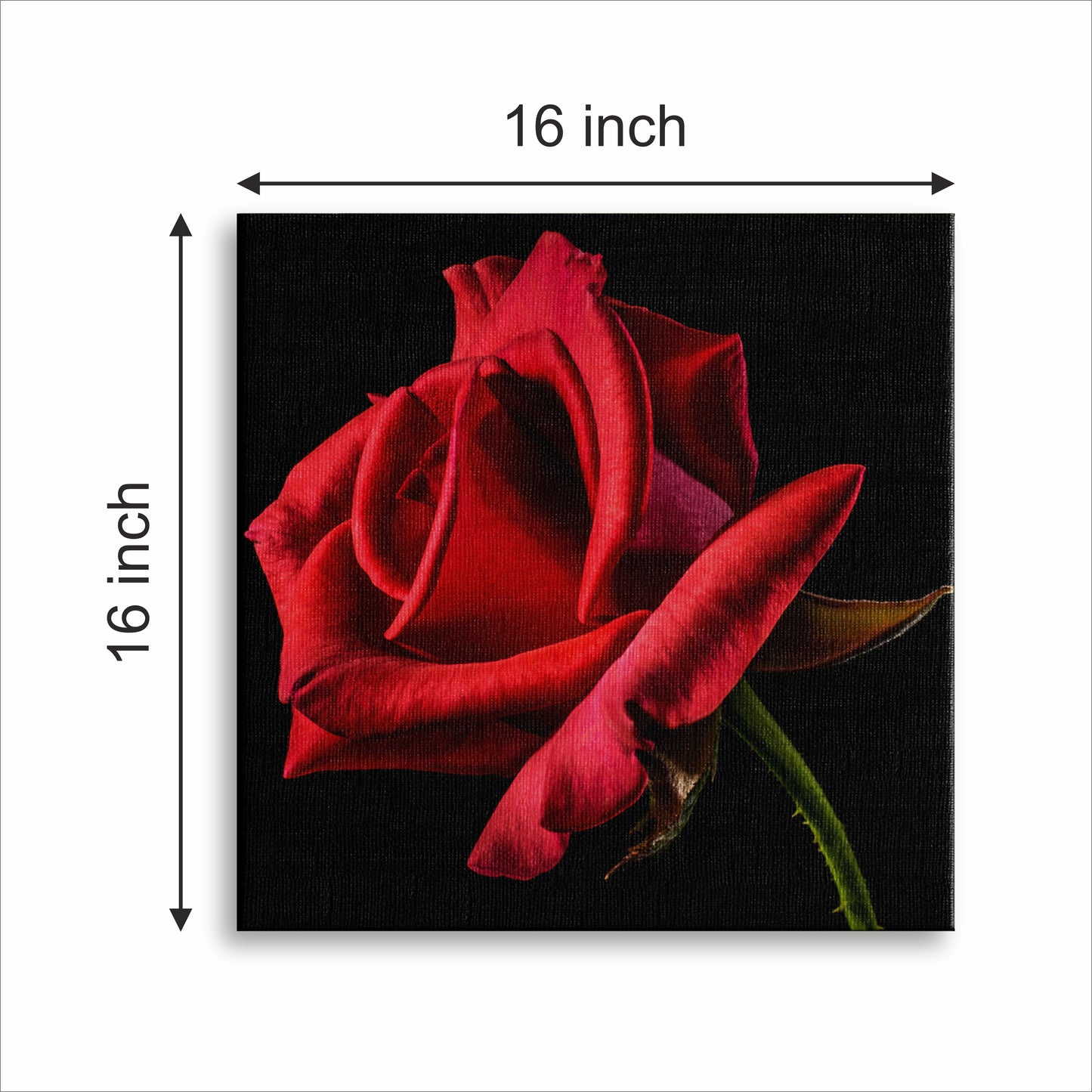 Rose Canvas wall painting