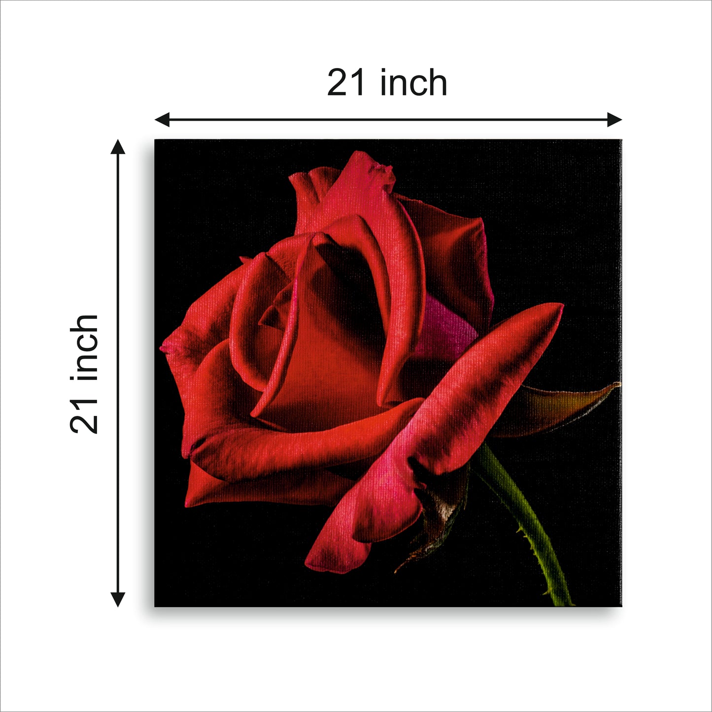 Rose Canvas wall painting
