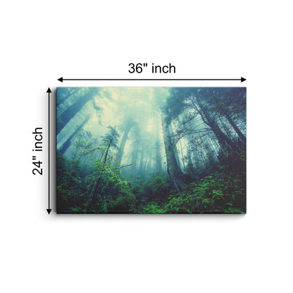 Forest Mist Nature Trees canvas wall painting