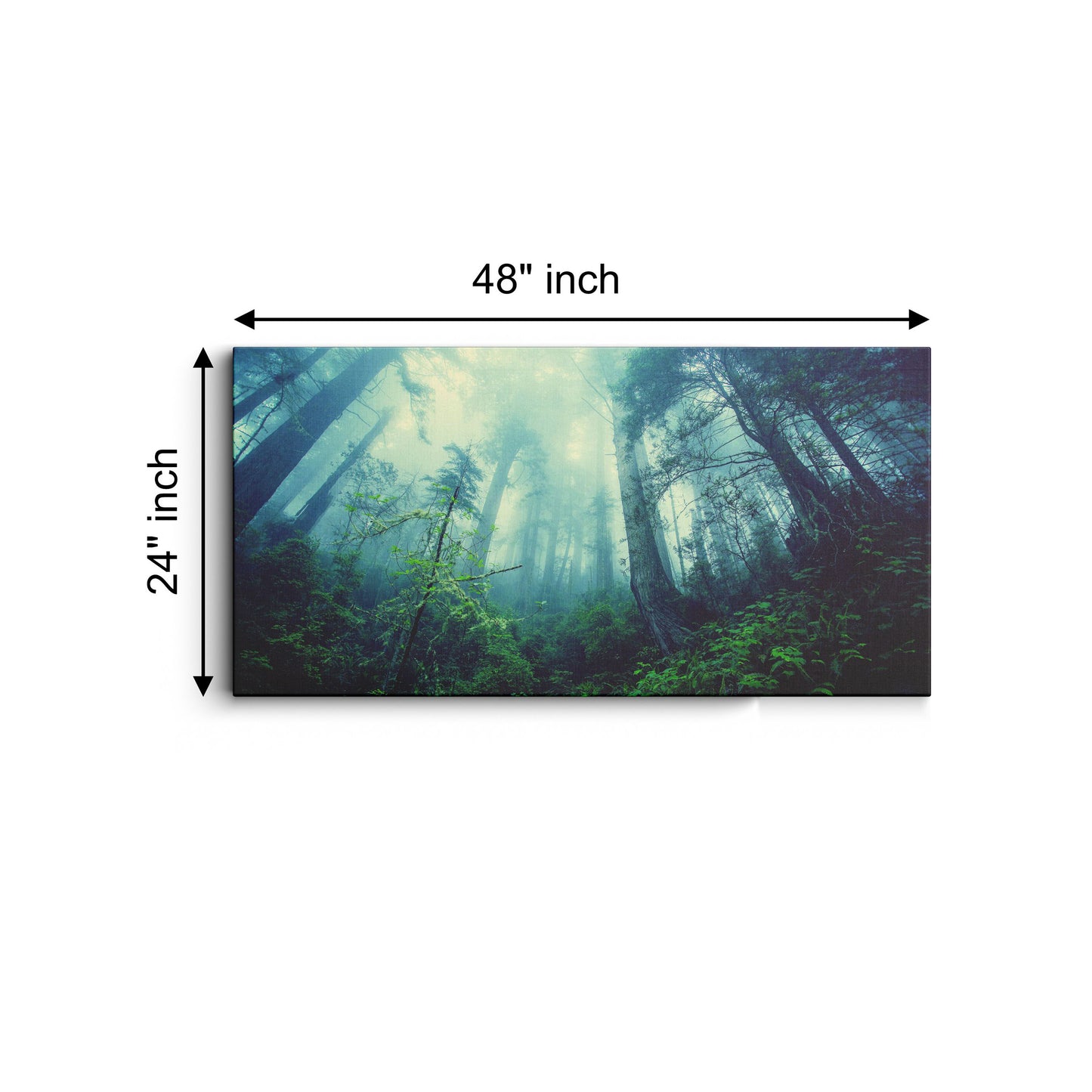 Forest Mist Nature Trees canvas wall painting