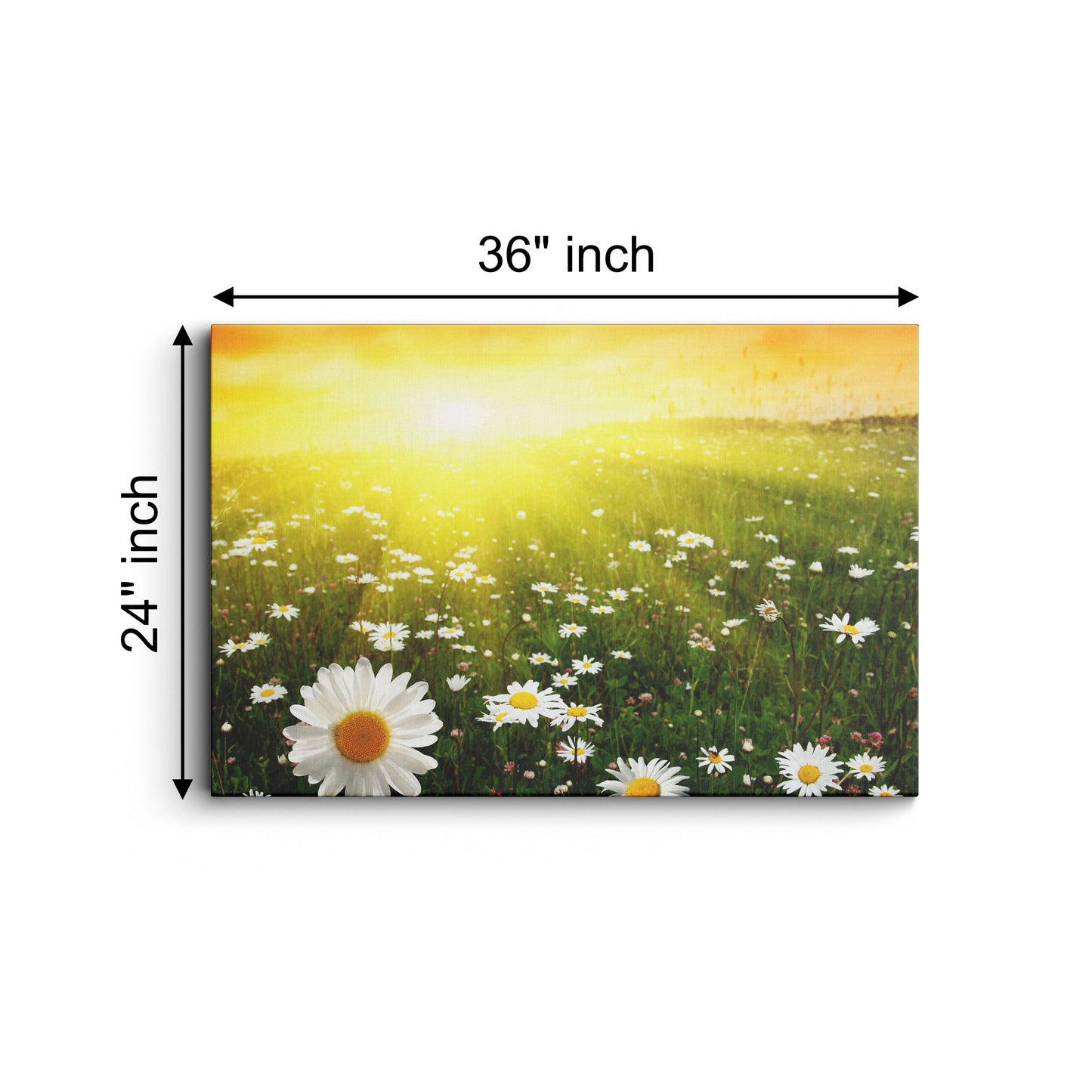Welcome Sunshine canvas wall painting