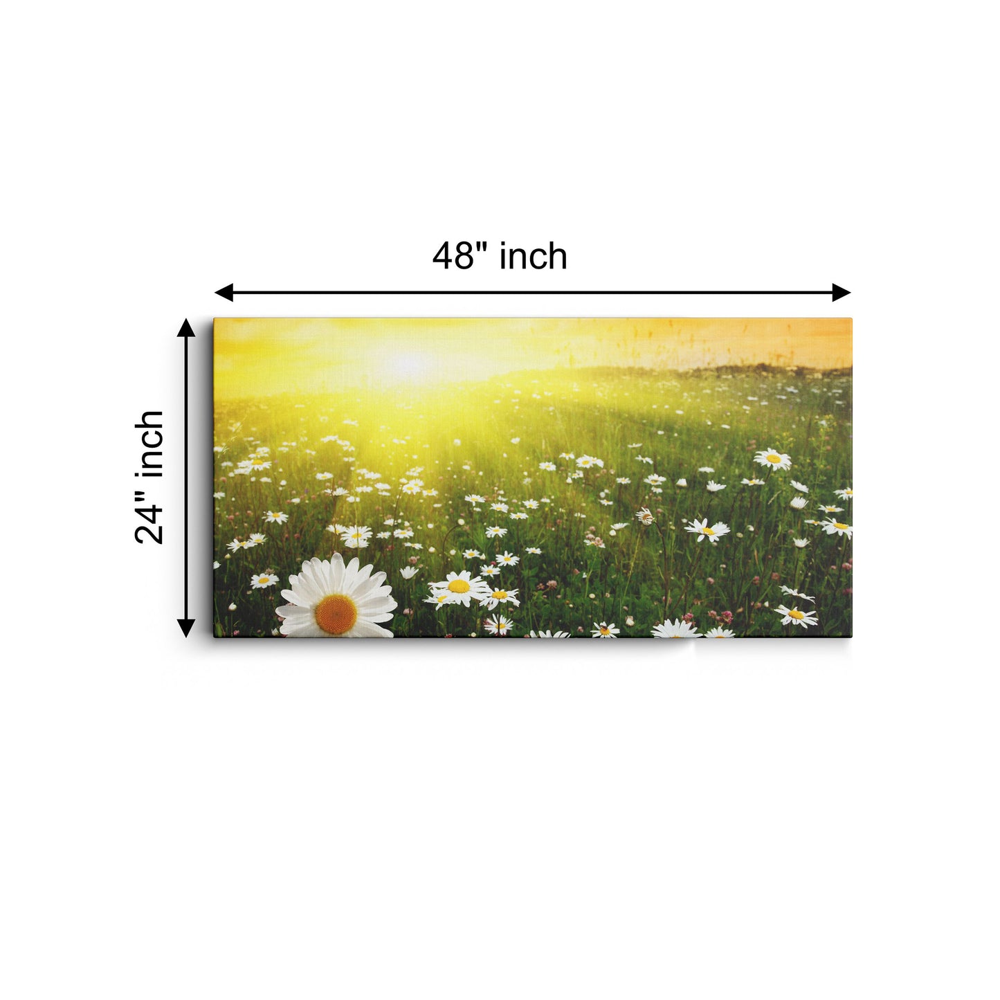 Welcome Sunshine canvas wall painting