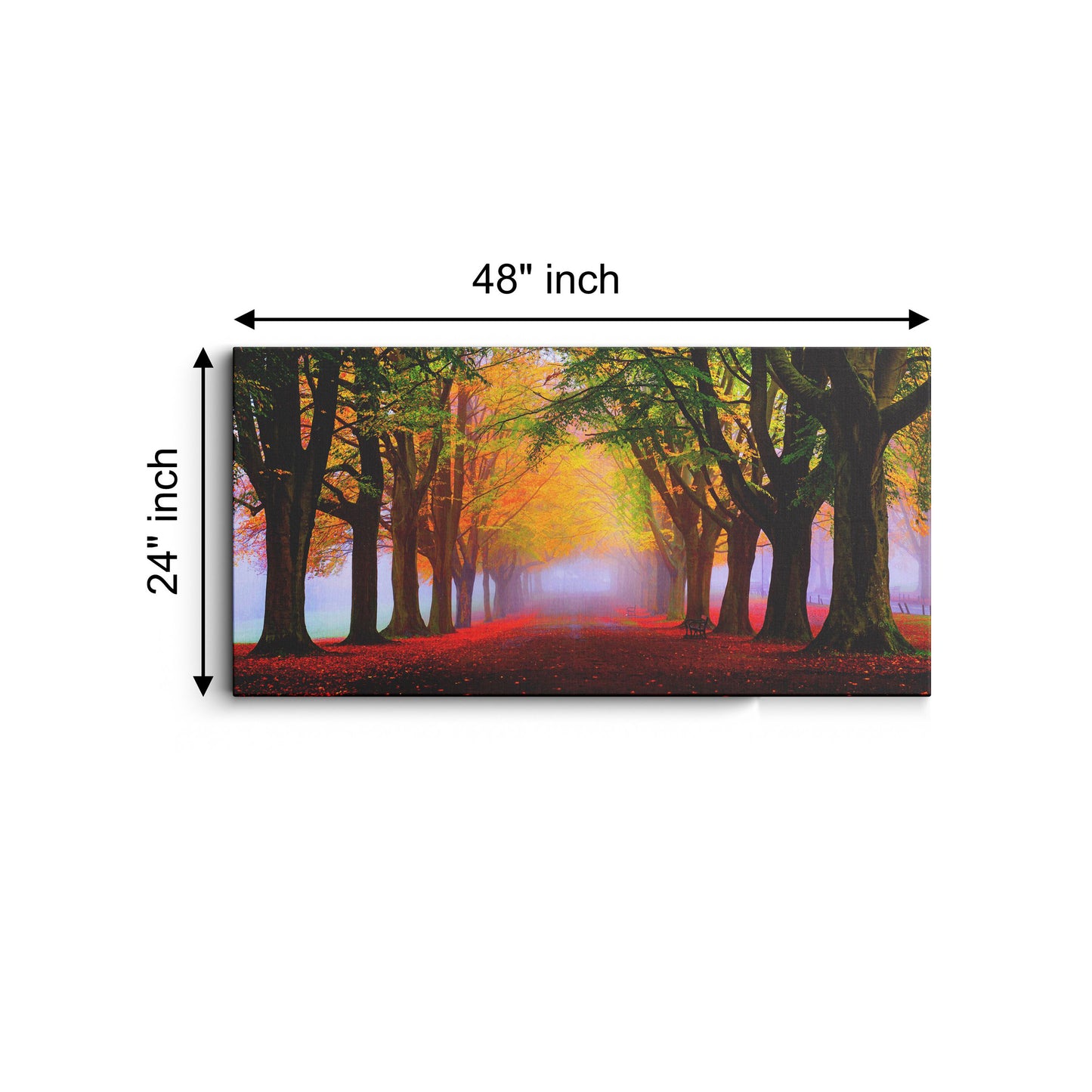 Mad Masters Park fall fog foliage trees canvas wall painting