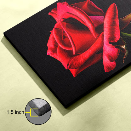 Rose Canvas wall painting
